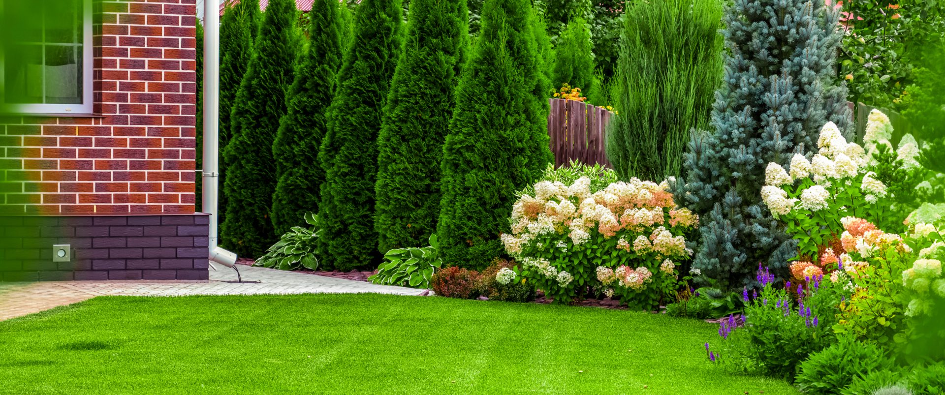 Lush garden with trees and blooming flowers.