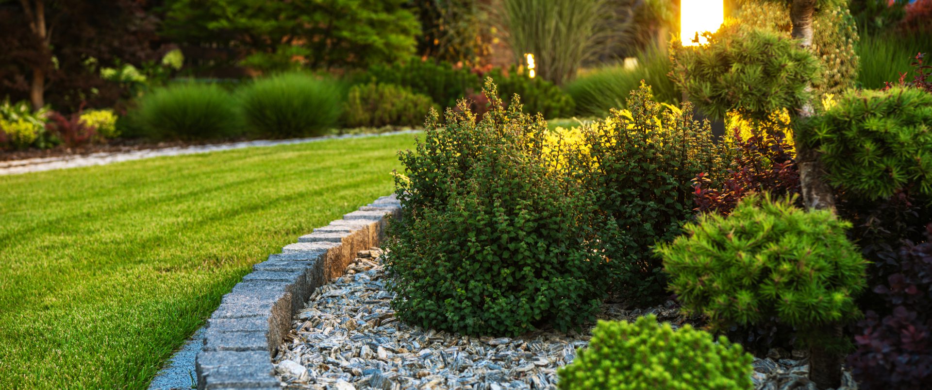 Lush garden with grass and stone border.
