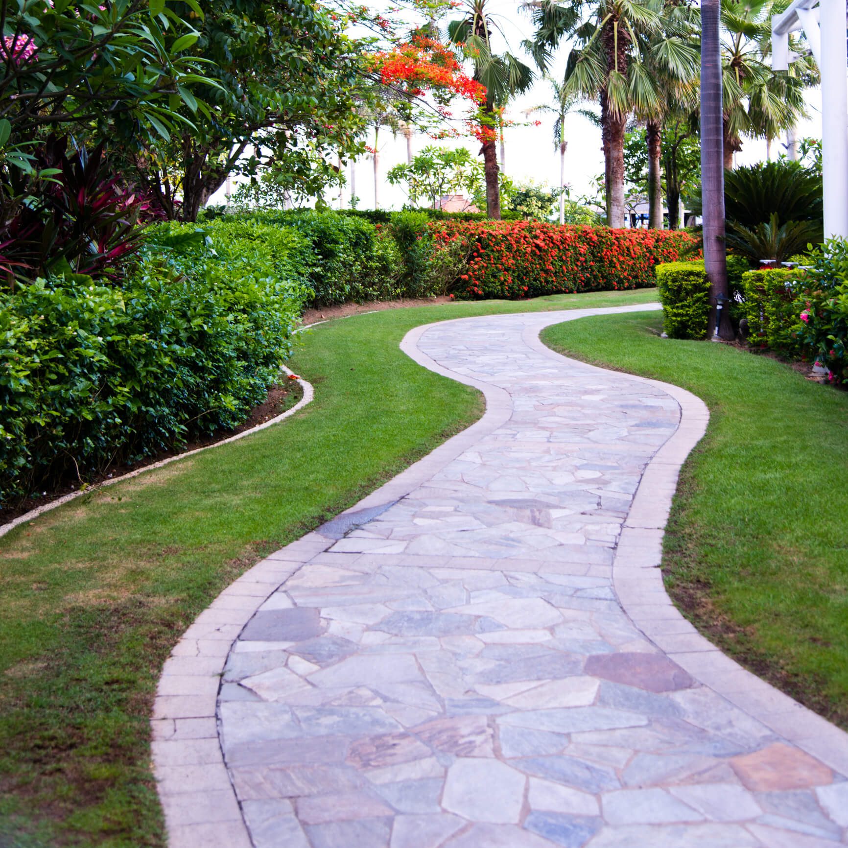 Winding stone path through a tropical garden.